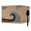Cutlery | Boardwalk BWKTSHWPPBIW Heavyweight Wrapped Polypropylene Teapoons - Black (1000/Carton) image number 0