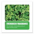Office Jansan | Big D Industries 66000 Extra Duty Urinal Screen with Non-Para Block Evergreen with Enzymes Scent - White (1 Dozen) image number 3