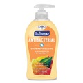 Hand Soaps | Softsoap US04206A 11.25 oz. Antibacterial Hand Soap - Citrus Scent image number 0