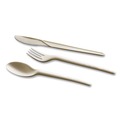 Cutlery | WNA EPS003 7 in. EcoSense Renewable Plant Starch Cutlery Spoon (50/Pack) image number 4