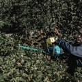Hedge Trimmers | Makita GHU02M1 40V max XGT Brushless Lithium-Ion 24 in. Cordless Hedge Trimmer Kit (4 Ah) image number 9