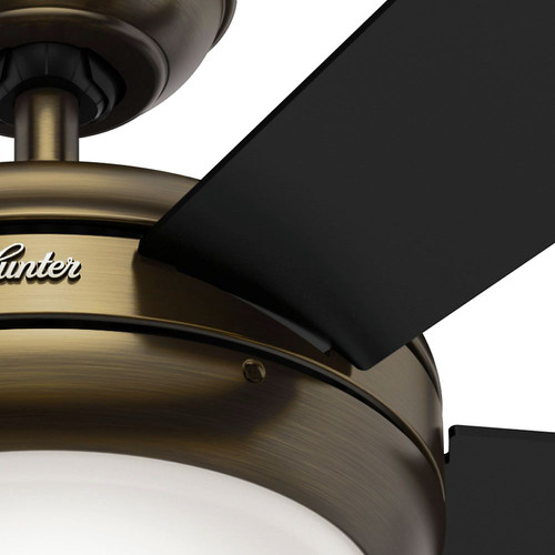 Hunter 59053 Palermo 52 In Contemporary Brushed Bronze Black
