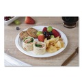Food Trays, Containers, and Lids | SCT 18140WPF ChampWare Molded Fiber Tableware, Molded Fiber Plate, 9-in dia, White, 125 Plates/Sleeve, 4 Sleeves/Carton image number 3