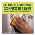 Cleaning & Janitorial Supplies | Pine-Sol 60149CT 20 oz. Bottle Multi-Surface Concentrated Disinfectant Cleaner - Pine Scent (8/Carton) image number 4