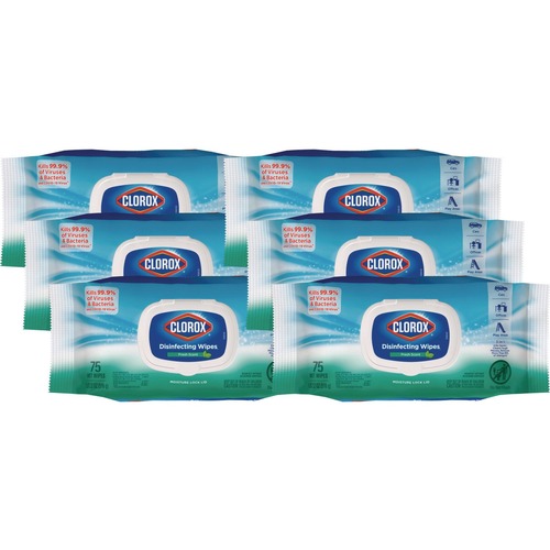 Cleaning & Janitorial Supplies | Clorox 31430 8 in. x 7 in. 1-Ply Flex Pack Disinfecting Cleaning Wipes - Fresh Scent White (6/Carton) image number 0