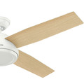 Ceiling Fans | Hunter 59250 52 in. Dempsey Fresh White Ceiling Fan with Remote image number 3