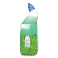 Cleaning & Janitorial Supplies | LYSOL Brand 19200-98015 24 oz. Cling and Fresh Toilet Bowl Cleaner - Forest Rain (2/Pack) image number 2