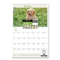 Calendars & Planners | AT-A-GLANCE DMW16728 12-Month (Jan to Dec): 2026 15.5 in. x 22.75 in. Puppies Photography Puppies Monthly Wall Calendar - White/Multicolor Sheets image number 2