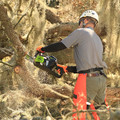  | Greenworks GCS80450 80V Lithium-Ion DigiPro 18 in. Chainsaw (Tool Only) image number 3