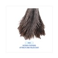  | Boardwalk BWK12GY 4 in. Handle Professional Ostrich Feather Duster image number 5