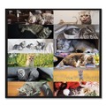 Office & Office Supplies | Blueline C194115 12-Month (Jan-Dec): 2026 22 in. x 17 in. Furry Kittens Photography Pets Collection Monthly Desk Pad - White Sheets, Black Binding image number 3