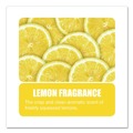Cleaning & Janitorial Supplies | Big D Industries 150000 Enzym D 1-Gal. Digester Liquid Deodorant - Lemon (4/Carton) image number 1