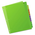 Office Jansan | Avery 11331 11 in. x 8.5 in. 12-Tab Jan. to Dec. Durable Preprinted Plastic Tab Dividers - Assorted (1-Set) image number 1