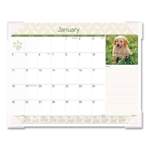 Calendars & Planners | AT-A-GLANCE DMD166-32 22 in. x 17 in. 12-Month (Jan to Dec): 2025 Puppies Monthly Desk Pad Calendar - Puppies Photography, White Sheets, Clear Corners image number 0