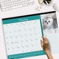 Office & Office Supplies | Blueline C194115 12-Month (Jan-Dec): 2026 22 in. x 17 in. Furry Kittens Photography Pets Collection Monthly Desk Pad - White Sheets, Black Binding image number 7