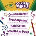 Pens | Crayola 68-4050 3.3 millimeter 2B Long-Length Colored Pencil Set - Assorted Lead/Barrel Colors (50/Box) image number 3