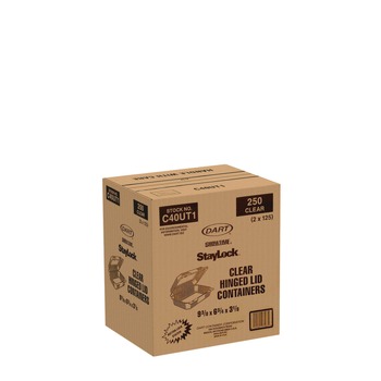 Dart StayLock 6.81 in. x 9.4 in. x 3.1 in. Oblong Plastic Hinged Lid Containers - Clear (250/Carton)