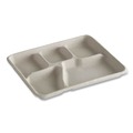 Food Trays, Containers, and Lids | Chinet 21040 Savaday 250/Carton 10.5 in. dia., 5-Compartment, Molded Fiber Dinnerware - White image number 1