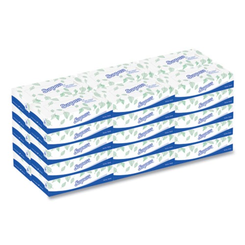 Cleaning & Janitorial Supplies | Surpass 21340 2-Ply Flat Box Facial Tissue for Business - White (100 Sheets/Box, 30 Boxes/Carton) image number 0