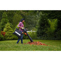  | Worx WG507 12 Amp 2-Speed Electric Blower/Vac/Mulcher image number 8