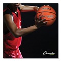 Toys | Champion Sports CSIRBB2 No. 5 Junior Size Rubber Sports Ball For Basketball - Orange image number 5