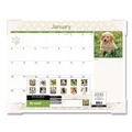 Calendars & Planners | AT-A-GLANCE DMD166-32 22 in. x 17 in. 12-Month (Jan to Dec): 2025 Puppies Monthly Desk Pad Calendar - Puppies Photography, White Sheets, Clear Corners image number 4