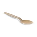 Cutlery | Pactiv Corp. YPSMSTEC 5.88 in. EarthChoice PSM Heavyweight Cutlery Spoon - Tan (1000/Carton) image number 0
