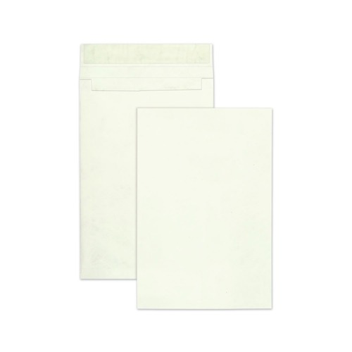 Pens | Survivor QUAR4520 12 in. x 16 in. No. 15-1/2 Lightweight 14 lbs. Tyvek Open End Expansion Mailers - White (100/Carton) image number 0