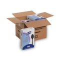 Cutlery | Dixie TM507 1000-Piece/Carton Heavy Mediumweight Plastic Teaspoons - Black image number 0