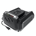 Chargers | Snow Joe ION100V-RCH 100V Rapid Charger for iON100V Series Tools image number 0