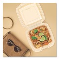Food Trays, Containers, and Lids | Dart 90PPHT1 9 in. x 8.75 in. x 3 in. ProPlanet Microwaveable Plastic Hinged Containers - Clear (150/Carton) image number 4