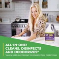 Cleaning & Janitorial Supplies | Simple Green 2810000401128 1 gal. Bottle Clean Finish Disinfectant Cleaner - Herbal (4/Carton) image number 3