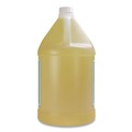 Cleaning & Janitorial Supplies | Diversified Hospitality Solutions 002287EA Terra Pure 1-Gallon Bottle Shampoo - Green Tea and Lemongrass Scent image number 1
