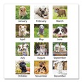 Calendars & Planners | AT-A-GLANCE DMW16728 12-Month (Jan to Dec): 2026 15.5 in. x 22.75 in. Puppies Photography Puppies Monthly Wall Calendar - White/Multicolor Sheets image number 6