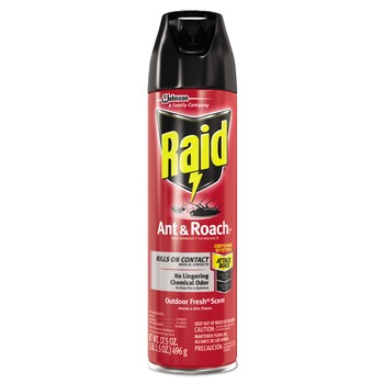 Raid 17.5 oz. Aerosol Spray Ant and Roach Killer - Outdoor Fresh (12/Carton)