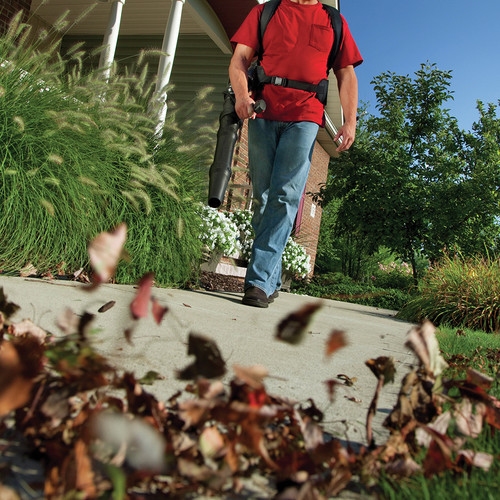 TroyBilt TroyBilt TB4BP EC 32cc 4Cycle Backpack Blower with