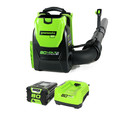 Backpack Blowers | Greenworks 2404802 BPB80L2510 80V Backpack Blower with 2.5 Ah Battery and Charger image number 1
