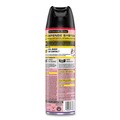 Cleaning & Janitorial Supplies | Raid 365982 17.5 oz Ant and Roach Killer Aerosol Spray - Lavender (12/Carton) image number 1