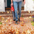 Handheld Blowers | Skil BL4713-10 PWRCore 40 40V Brushless Lithium-Ion Cordless Leaf Blower Kit (2.5 Ah) image number 4