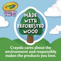 Pens | Crayola 68-4050 3.3 millimeter 2B Long-Length Colored Pencil Set - Assorted Lead/Barrel Colors (50/Box) image number 2
