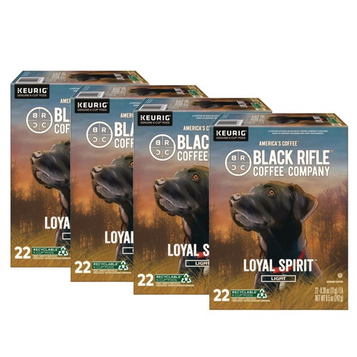 Food Service | Keurig 5000384046 Coffee K-Cups - Loyal Spirit (88/Carton) image number 0