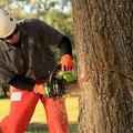  | Greenworks GCS80450 80V Lithium-Ion DigiPro 18 in. Chainsaw (Tool Only) image number 2