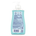 Hand Soaps | Dial 17000 20952 11 oz. Antibacterial Liquid Hand Soap - Spring Water Scent (12/Carton) image number 1