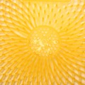 Bulk Savings Pricing 2 | Impact 149336 Eclipse 0.09 lbs. Urinal Screen - Citrus Scent Yellow (36/Carton) image number 2