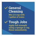 Cleaning & Janitorial Supplies | Clorox 60615CT 175 oz. Bottle CloroxPro Fraganzia Multi-Purpose Cleaner - Citrus Blossom Scent (3/Carton) image number 9