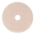 Sponges & Scrubbers | Boardwalk BWK4021NHE 21 in. Diameter Natural Hog Hair Burnishing Floor Pads - Tan (5/Carton) image number 0