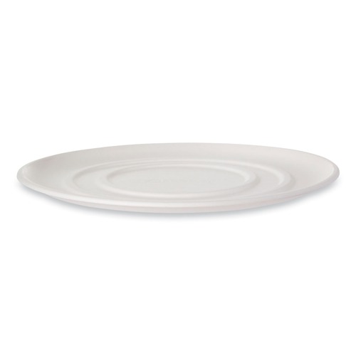 Food Trays, Containers, and Lids | Eco-Products EP-SCPTR16 WorldView 16 in. x 16 in. x 0.2 in. Sugarcane Molded Fiber Pizza Trays - White (50/Carton) image number 0