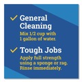 Cleaning & Janitorial Supplies | Clorox 60614CT 175 oz. Bottle CloroxPro Fraganzia Multi-Purpose Cleaner - Lavender Meadows Scent (3/Carton) image number 6