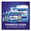 Office Jansan | Dawn Professional 57445 Manual Pot/Pan Dish Detergent - Original image number 9