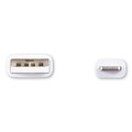 Office Electronics & Batteries | Innovera IVR30022 10 ft. USB Apple Lightning Cable - White image number 1